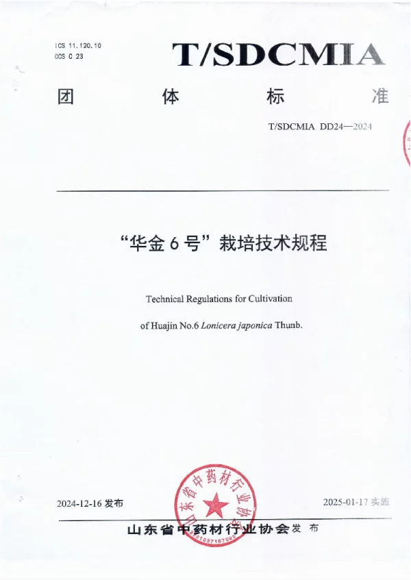 T_SDCMIA DD24—2024_“华金6号”栽培技术规程