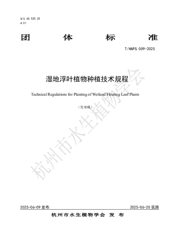 T_HAPS 009—2025_湿地浮叶植物种植技术规程