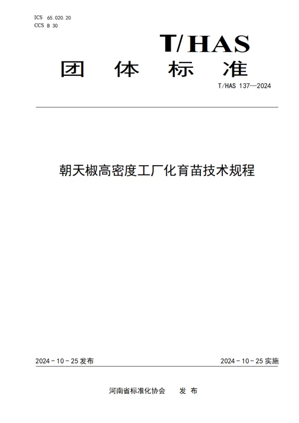 T_HAS 137—2024_朝天椒高密度工厂化育苗技术规程