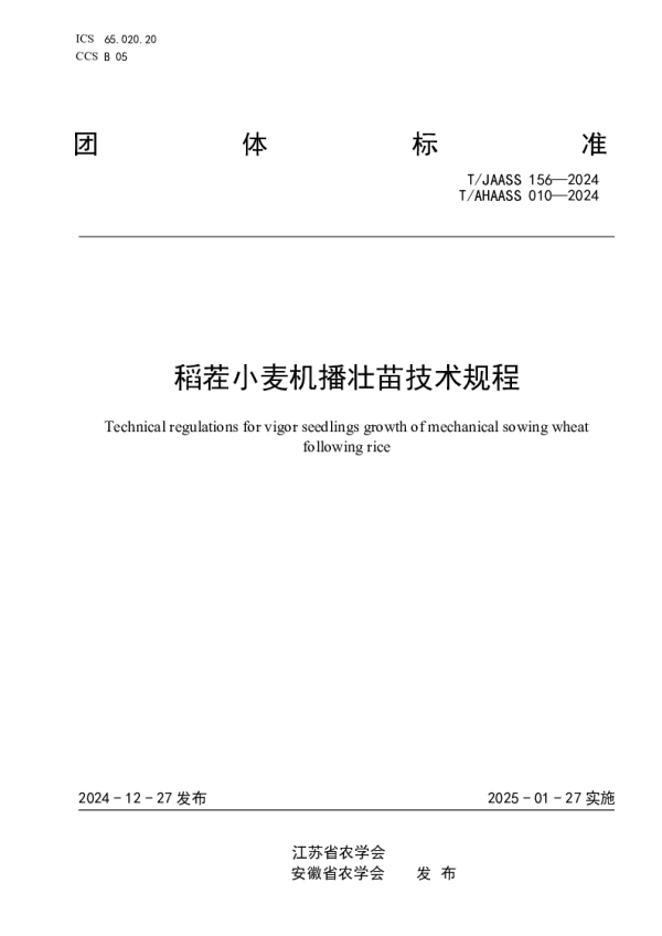 T_JAASS 156—2024_稻茬小麦机播壮苗技术规程