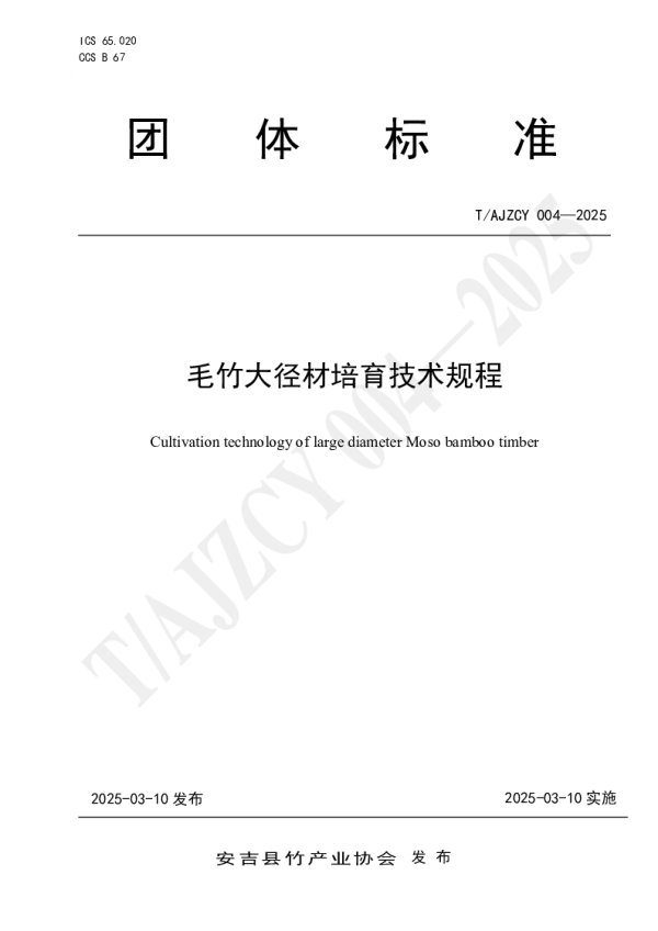 T_AJZCY 004—2025_毛竹大径材培育技术规程