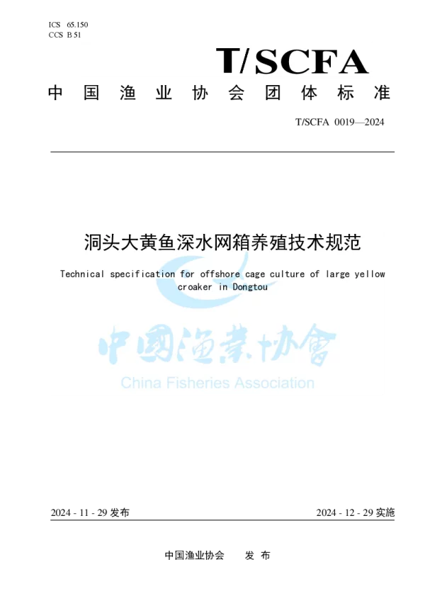 T_SCFA 0019—2024_洞头大黄鱼深水网箱养殖技术规范