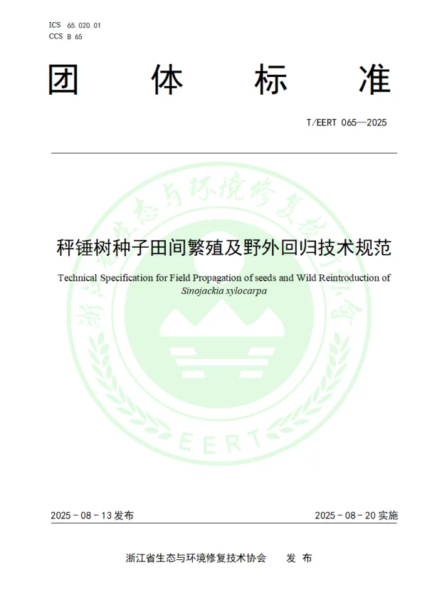 T_EERT 065—2025_秤锤树种子田间繁殖及野外回归技术规范 T_EERT 065—2025_秤锤树种子田间繁殖及野外回归技术规范