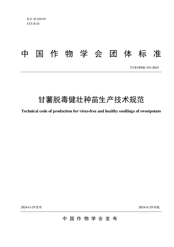 T_CROPSSC 011—2024_甘薯脱毒健壮种苗生产技术规范