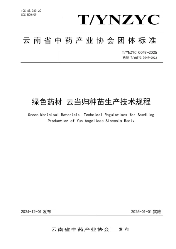 T_YNZYC 0049—2025_绿色药材 云当归种苗生产技术规程