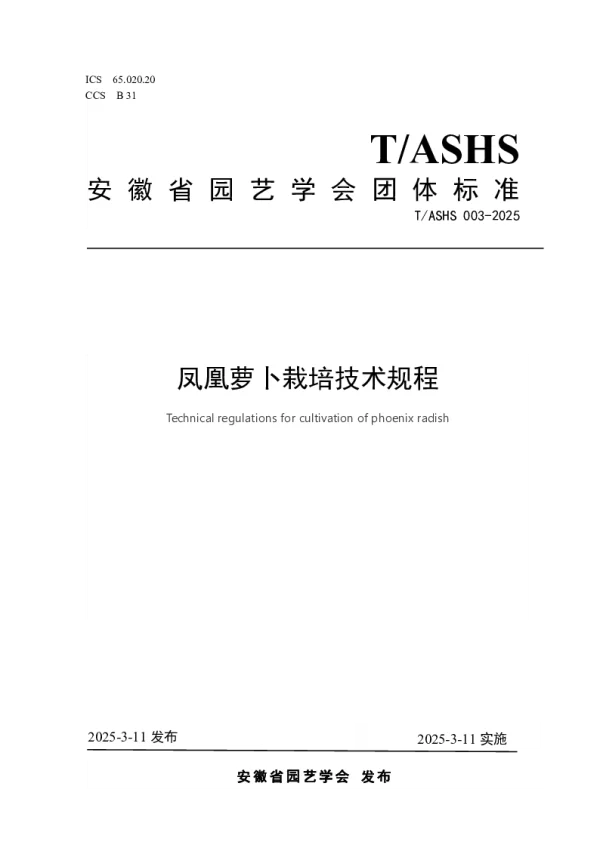 T_ASHS 003—2025_凤凰萝卜栽培技术规程