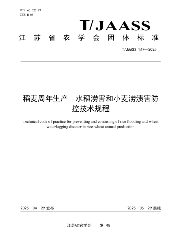 T_JAASS 167—2025_稻麦周年生产  水稻涝害和小麦涝渍害防控技术规程