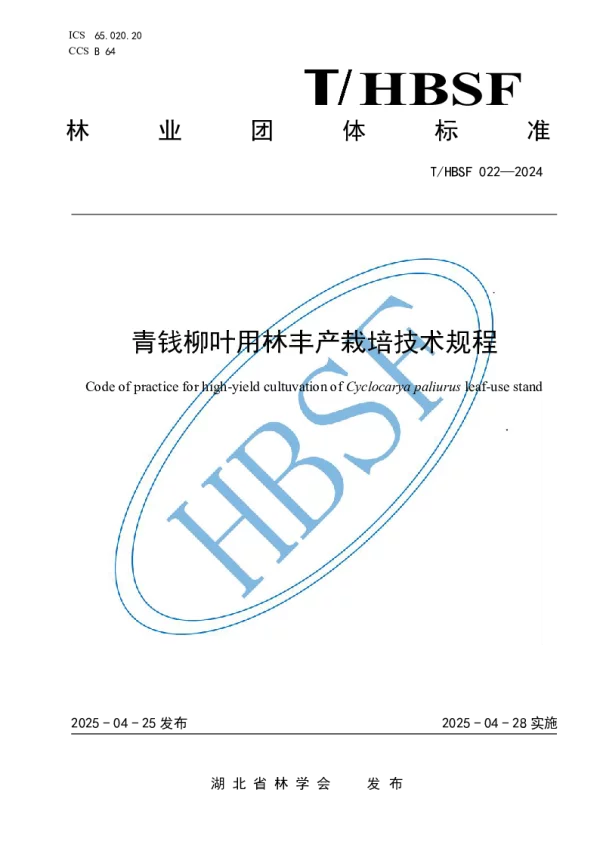 T_HBSF 022—2024_青钱柳叶用林丰产栽培技术规程