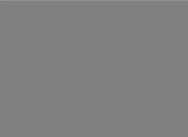 T_CSCS 049—2023_建筑裸露钢结构外观品质分级 技术标准