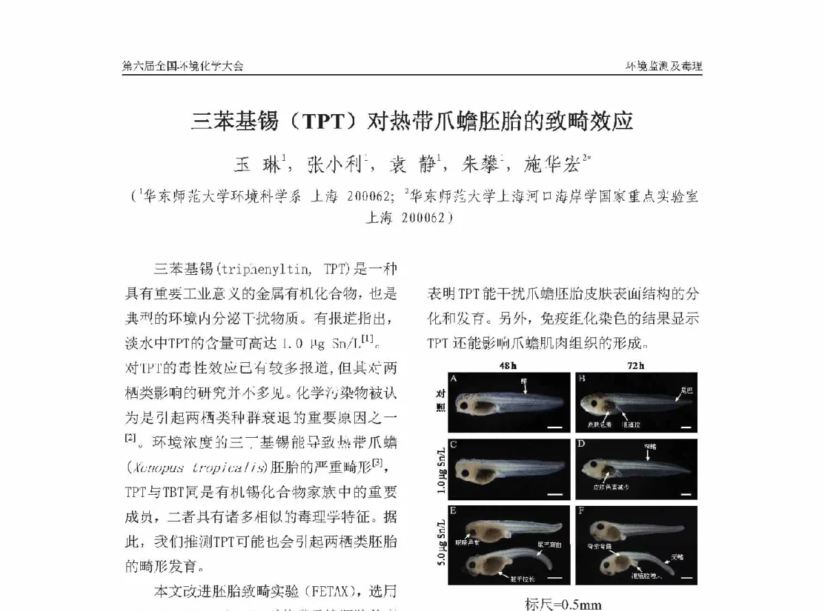 三苯基锡(TPT)对热带爪蟾胚胎的致畸效应 - 第六届全国环境化学学术大会