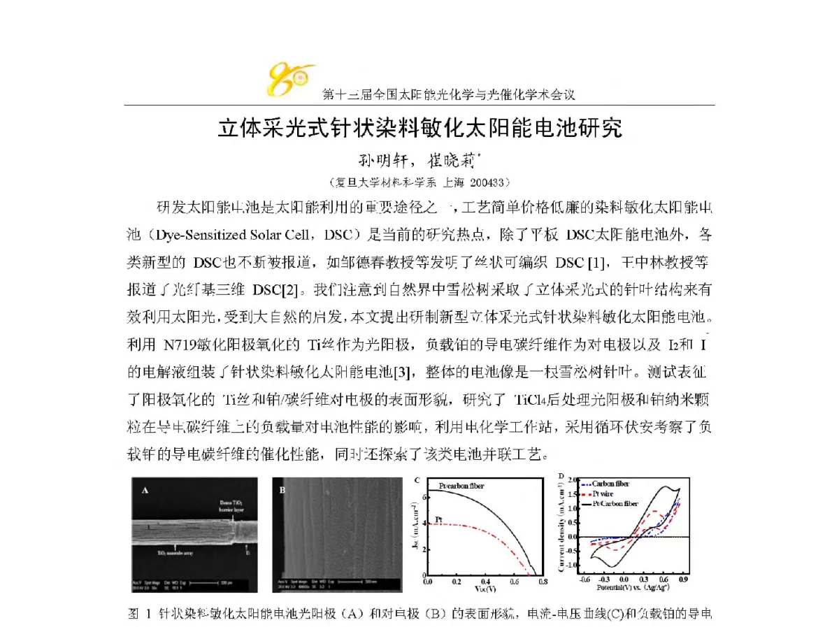 立体采光式针状染料敏化太阳能电池研究 - 第十三届全国太阳能光化学与光催化学术会议