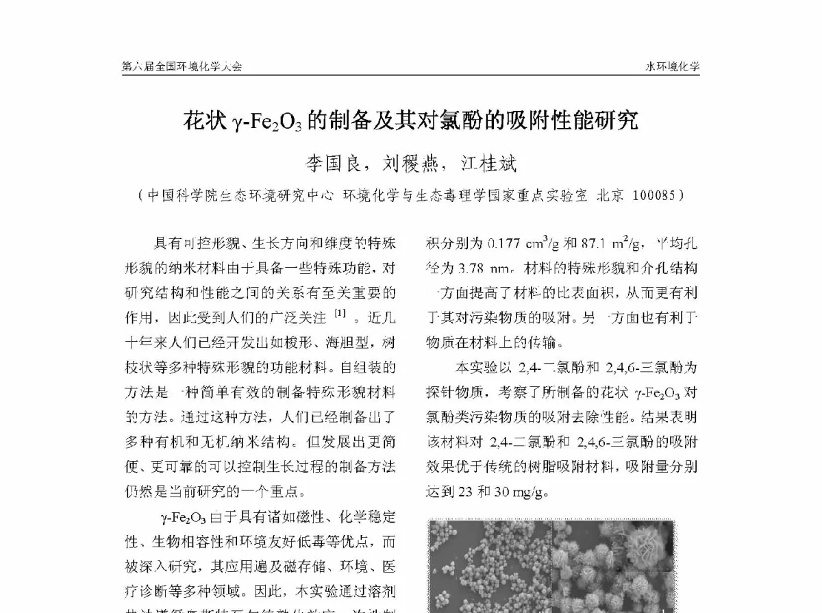 花状γ-Fe2O3的制备及其对氯酚的吸附性能研究 - 第六届全国环境化学学术大会