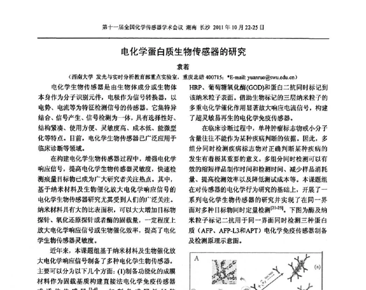 电化学蛋白质生物传感器的研究 - 第十一届全国化学传感器学术会议