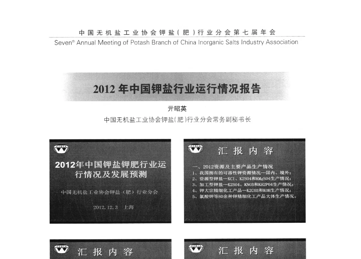 2012年中国钾盐行业运行情况报告 - 中国无机盐工业协会钾盐(肥)行业分会第七届年会