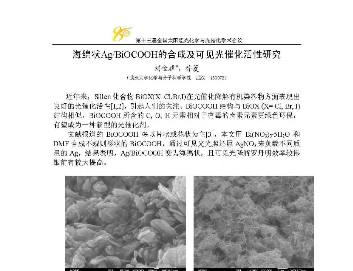 海绵状Ag_BiOCOOH的合成及可见光催化活性研究 - 第十三届全国太阳能光化学与光催化学术会议