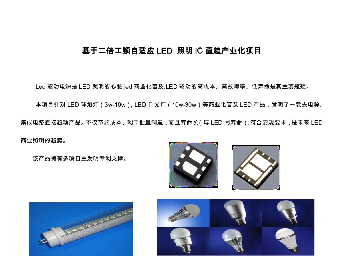 基于二倍工频自适应LED 照明IC 直趋产业化项目 - 2012第二届中国(西安)LED产业发展与投资高峰论坛