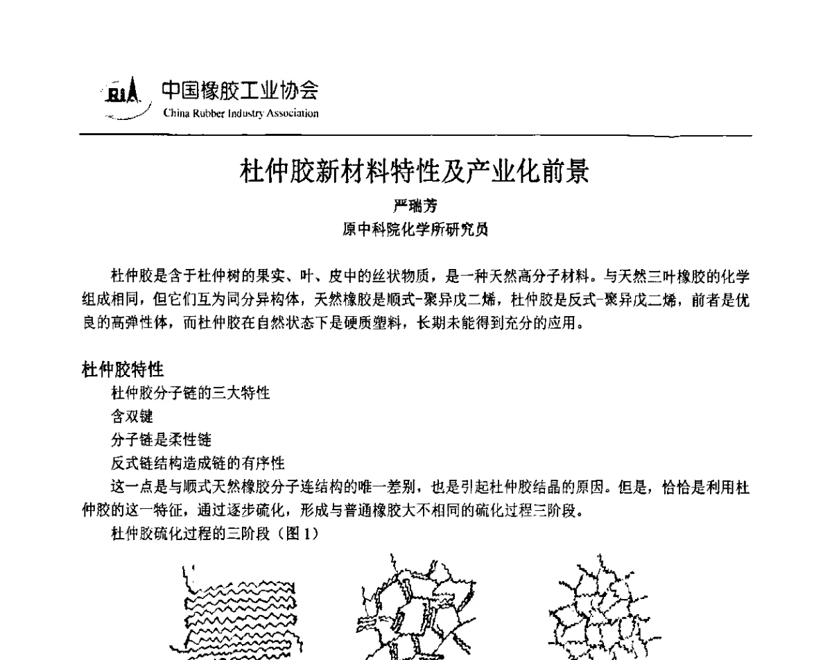 杜仲胶新材料特性及产业化前景 - 2011中国橡胶年会