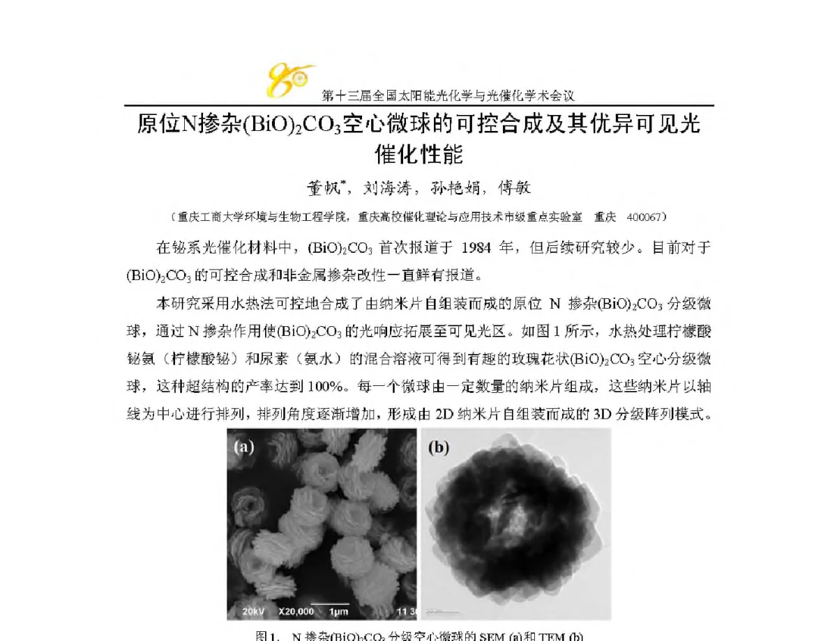 原位N掺杂(BiO)2CO3空心微球的可控合成及其优异可见光催化性能 - 第十三届全国太阳能光化学与光催化学术会议