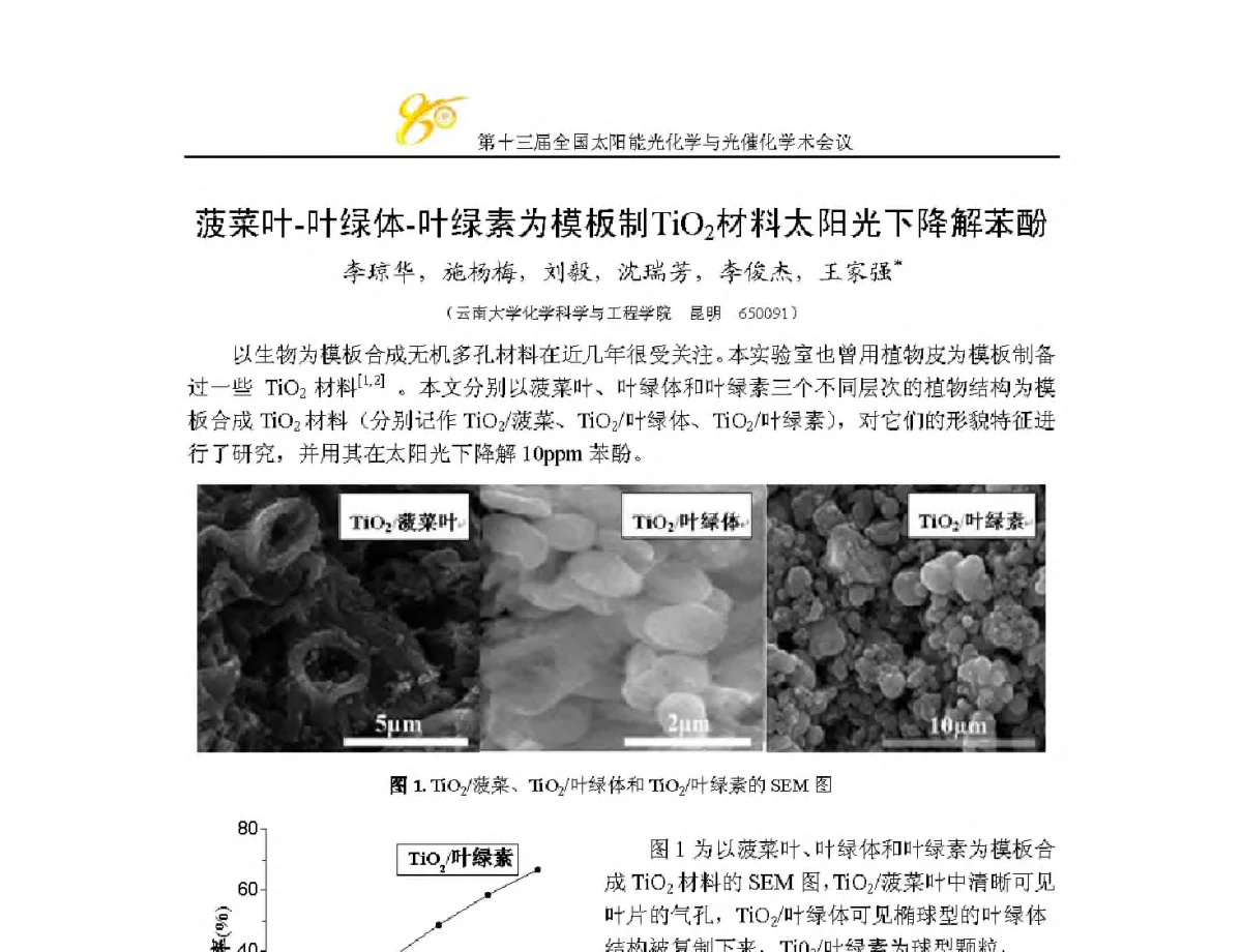 菠菜叶-叶绿体-叶绿素为模板制TiO2材料太阳光下降解苯酚 - 第十三届全国太阳能光化学与光催化学术会议