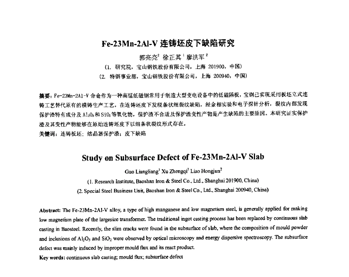 Fe-23Mn-2Al-V连铸坯皮下缺陷研究 - 2012年微合金钢连铸裂纹控制技术研讨会