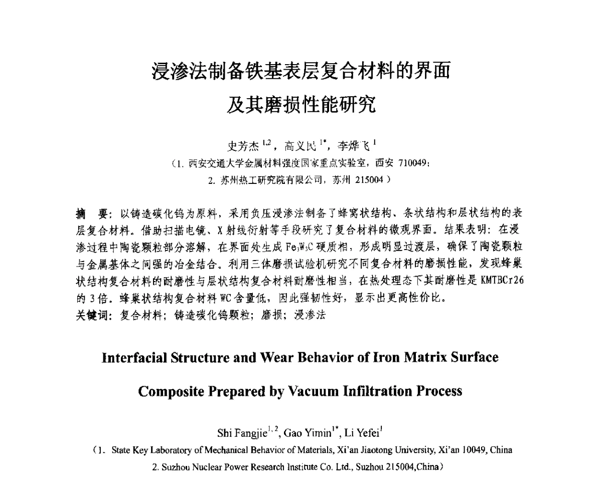浸渗法制备铁基表层复合材料的界面及其磨损性能研究 - 第十三届全国耐磨材料大会