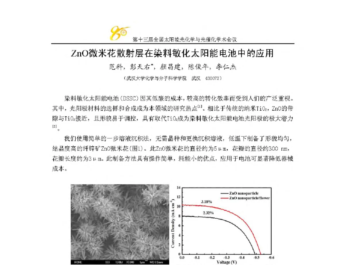 ZnO微米花散射层在染料敏化太阳能电池中的应用 - 第十三届全国太阳能光化学与光催化学术会议