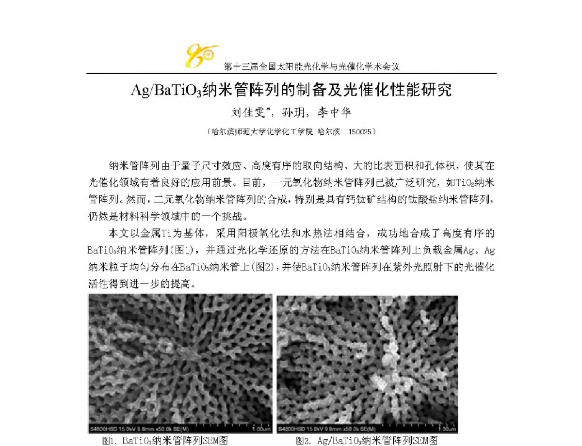 Ag_BaTiO3纳米管阵列的制备及光催化性能研究 - 第十三届全国太阳能光化学与光催化学术会议