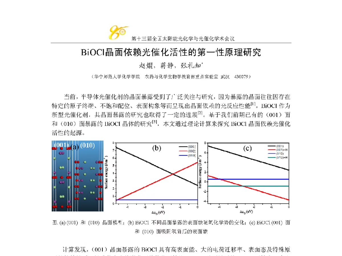 BiOCl晶面依赖光催化活性的第一性原理研究 - 第十三届全国太阳能光化学与光催化学术会议