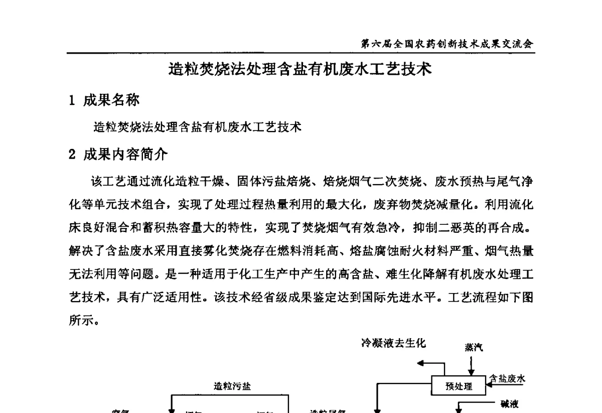 造粒焚烧法处理含盐有机废水工艺技术 - 第六届全国农药创新技术成果交流会