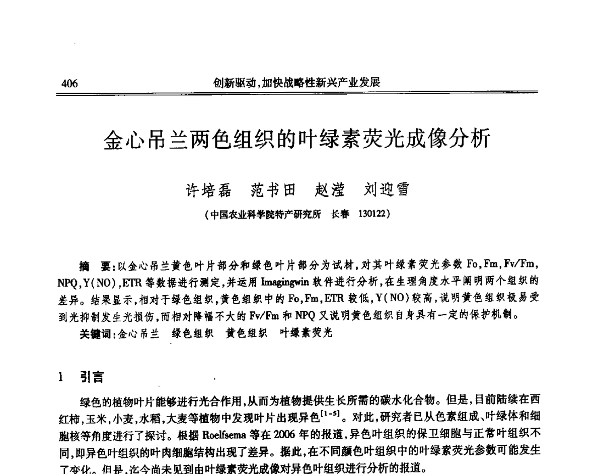 金心吊兰两色组织的叶绿素荧光成像分析 - 吉林省第七届科学技术学术年会