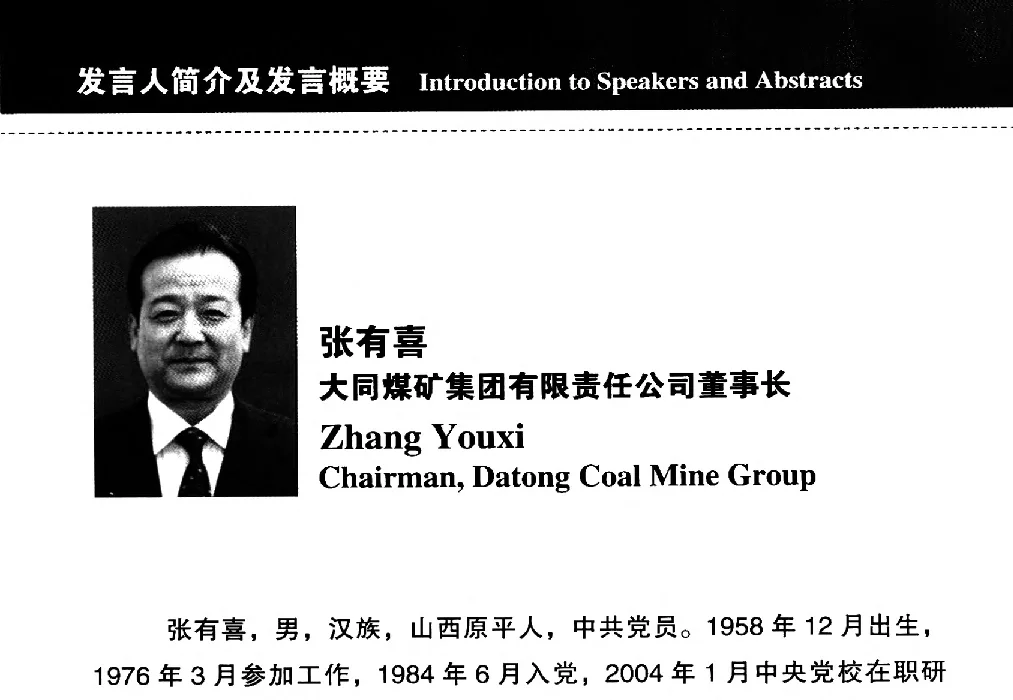 大力实施煤电一体化推动能源产业可持续发展 - 2012中国国际煤炭发展高层论坛