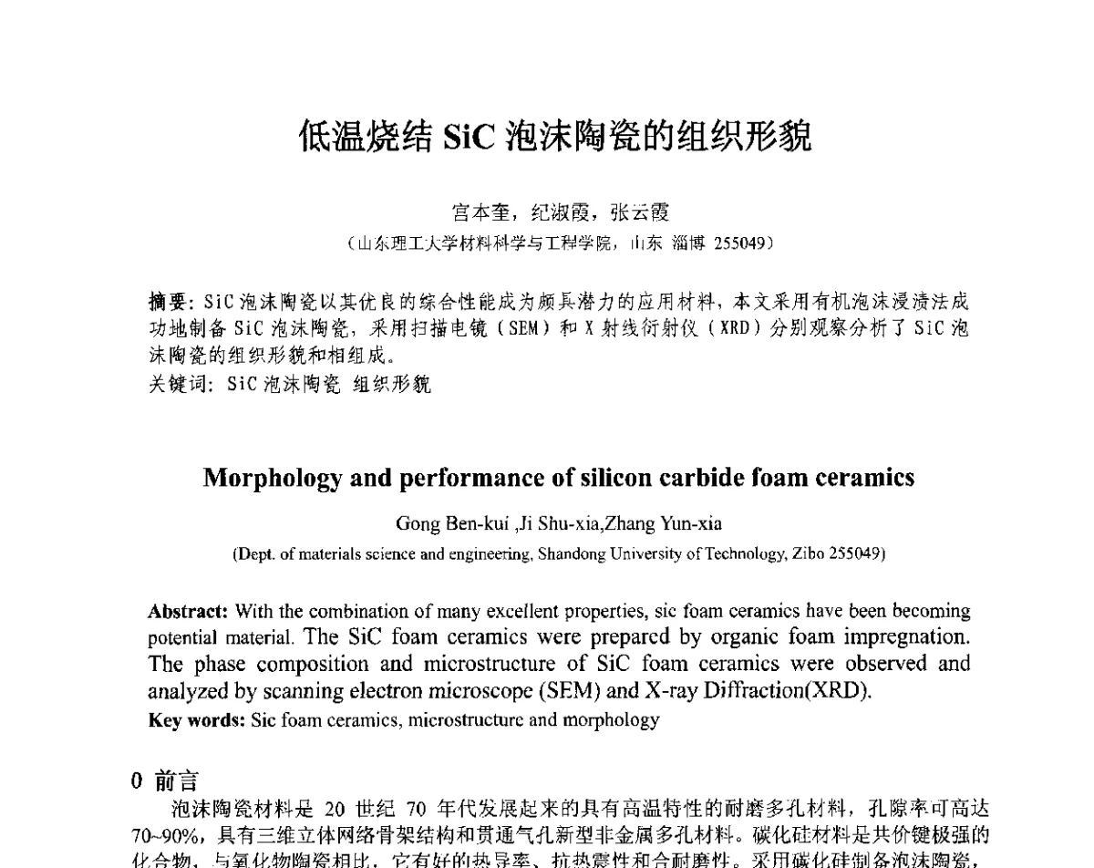 低温烧结SiC泡沫陶瓷的组织形貌 - 第十三届全国耐磨材料大会