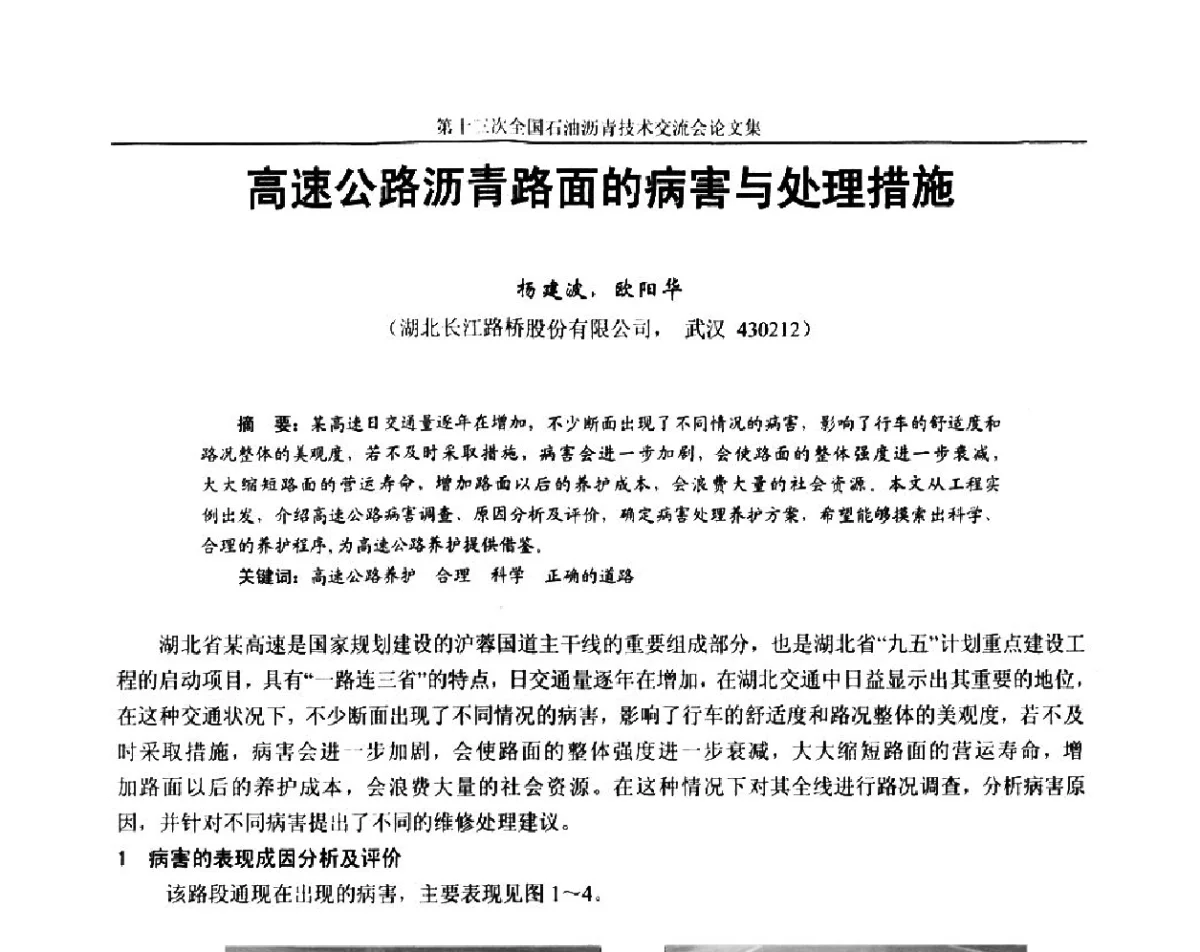 高速公路沥青路面的病害与处理措施 - 第十三届全国石油沥青技术交流会