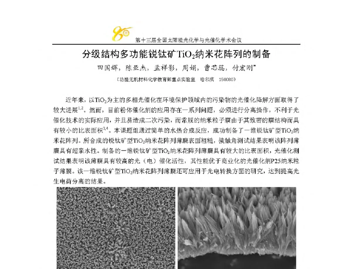 分级结构多功能锐钛矿TiO2纳米花阵列的制备 - 第十三届全国太阳能光化学与光催化学术会议