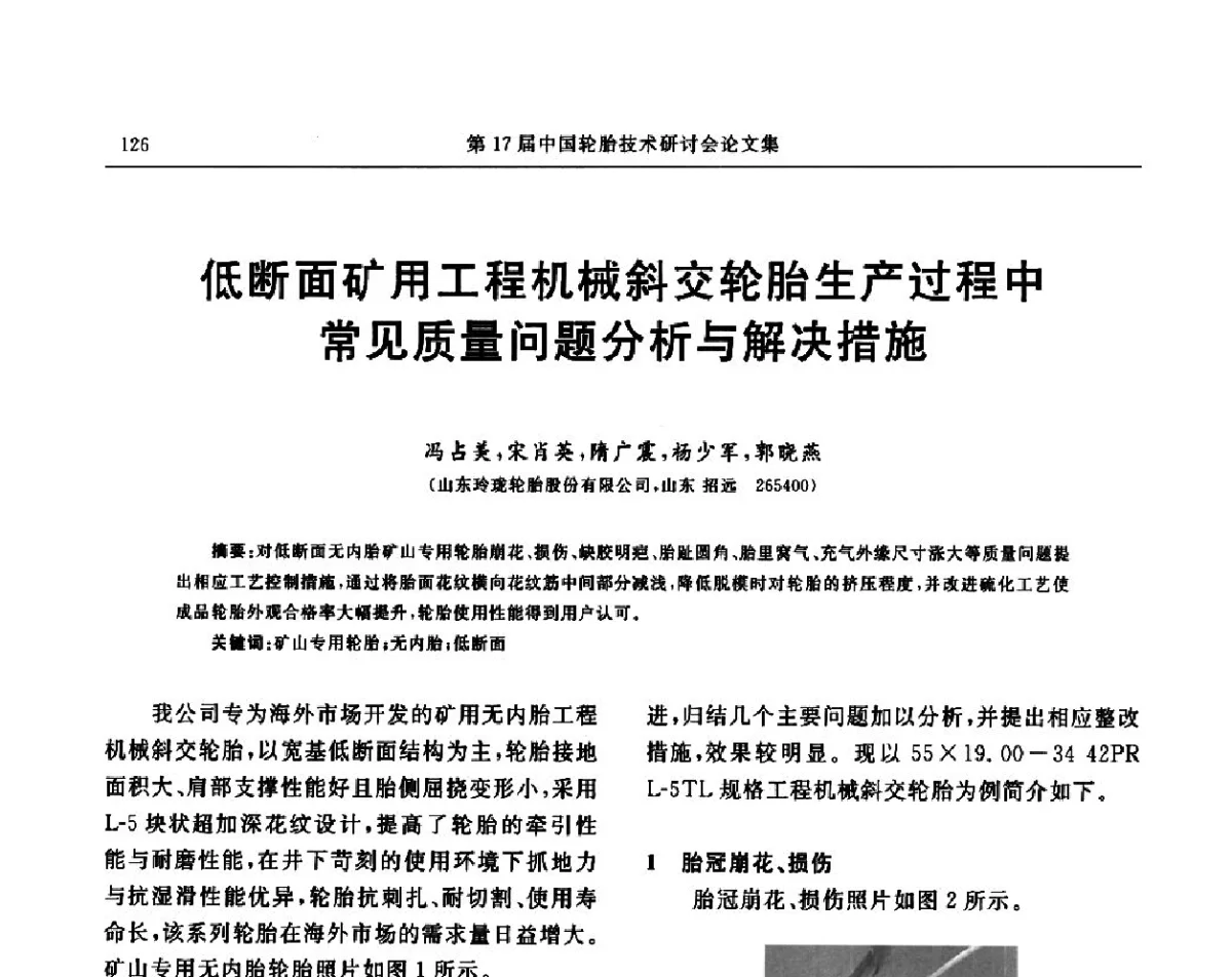 低断面矿用工程机械斜交轮胎生产过程中常见质量问题分析与解决措施 - “玲珑轮胎杯”第17届中国轮胎技术研讨会