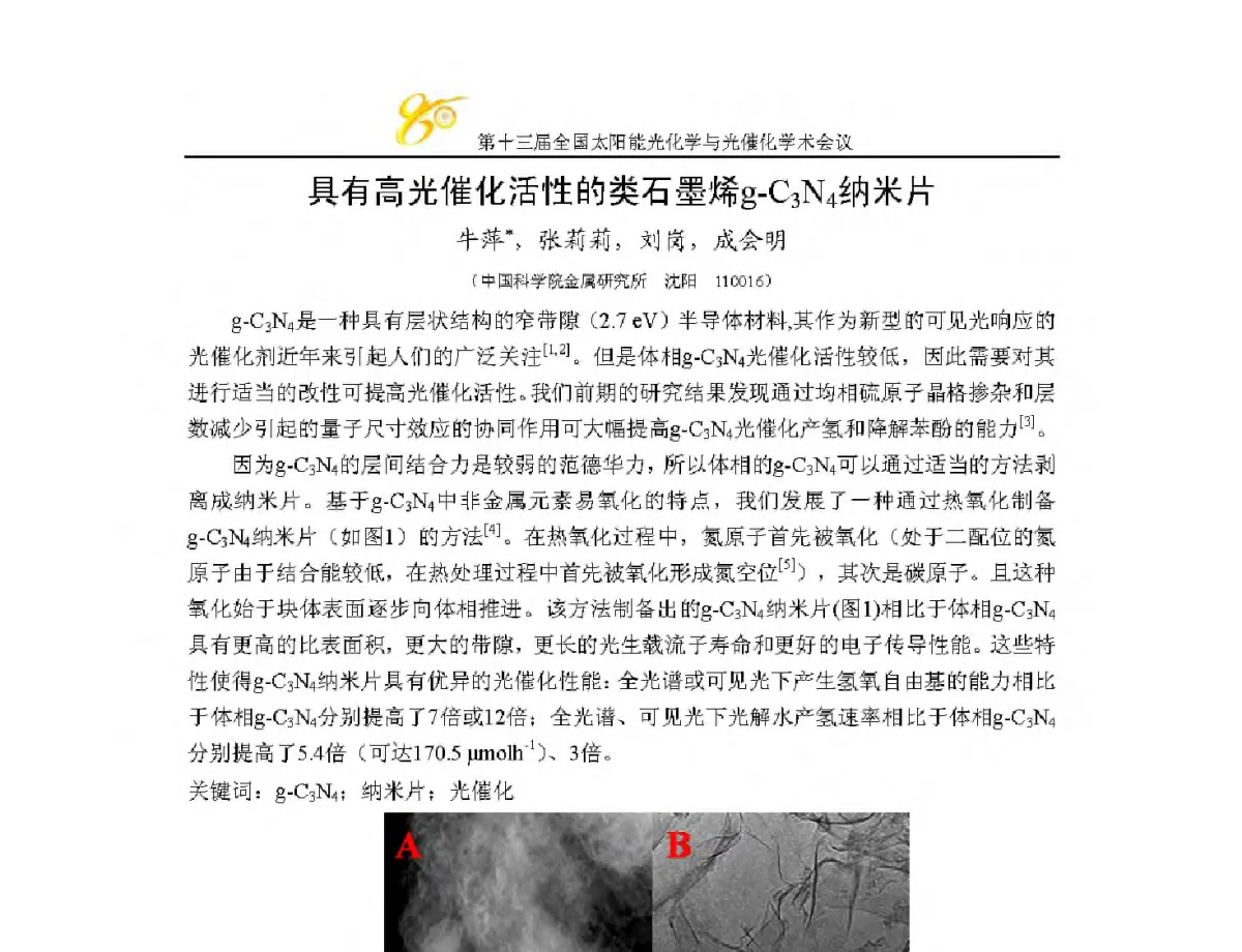 具有高光催化活性的类石墨烯g-C3N4纳米片 - 第十三届全国太阳能光化学与光催化学术会议