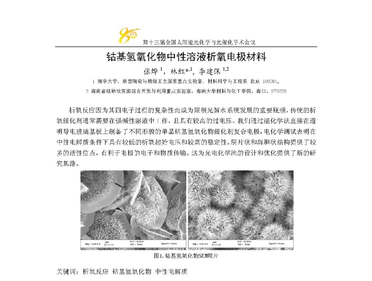 钴基氢氧化物中性溶液析氧电极材料 - 第十三届全国太阳能光化学与光催化学术会议