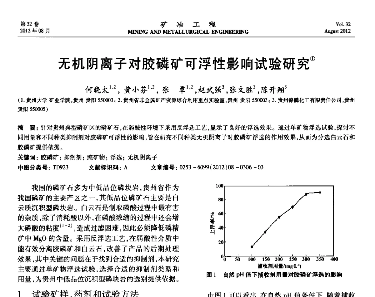 无机阴离子对胶磷矿可浮性影响试验研究 - 第六届全国选矿专业学术年会