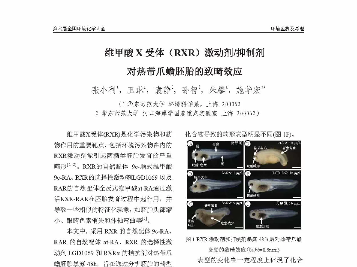 维甲酸X受体(RXR)激动剂_抑制剂对热带爪蟾胚胎的致畸效应 - 第六届全国环境化学学术大会