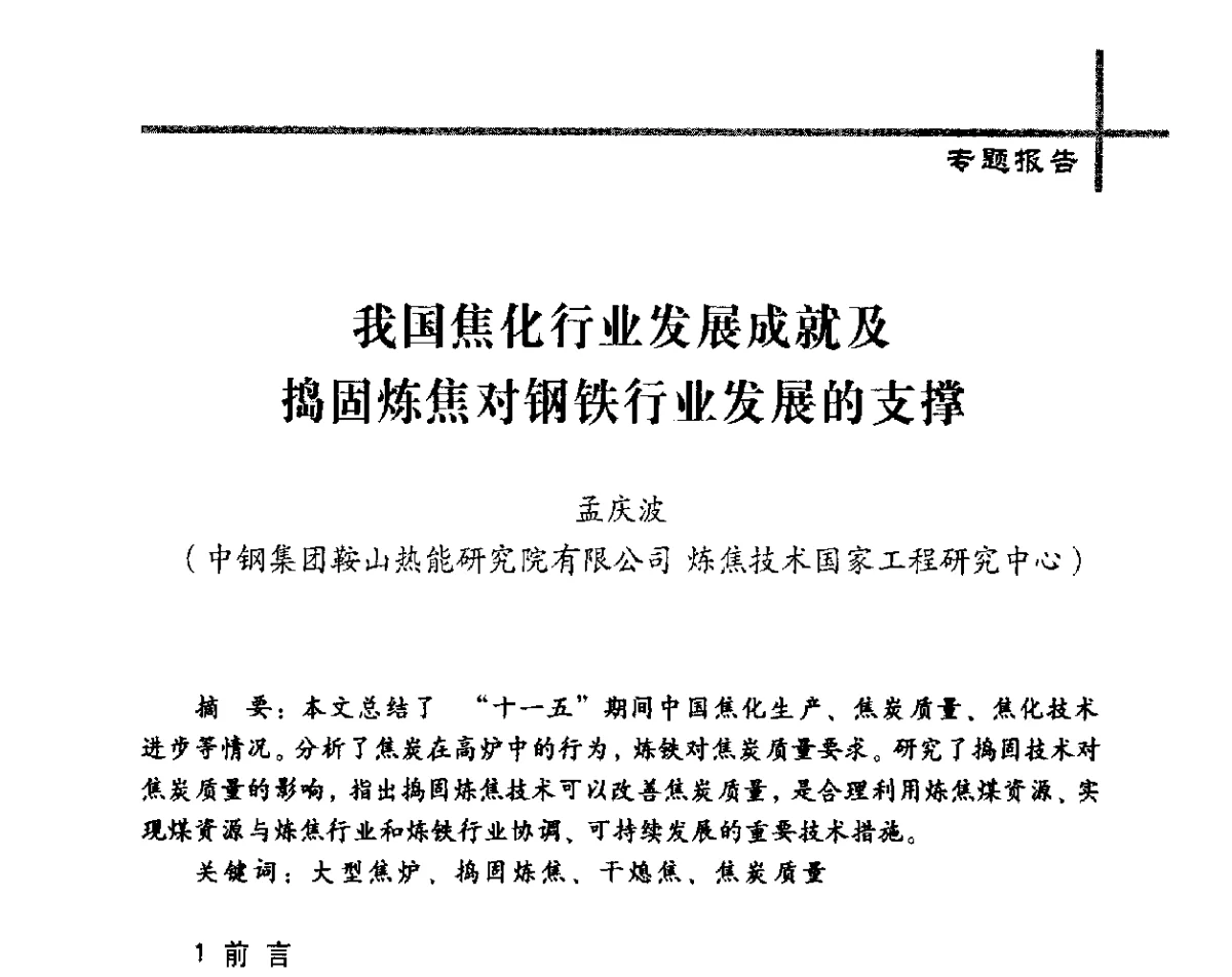 我国焦化行业发展成就及捣固炼焦对钢铁行业发展的支撑 - 中国炼焦行业协会五届四次会员(理事)大会