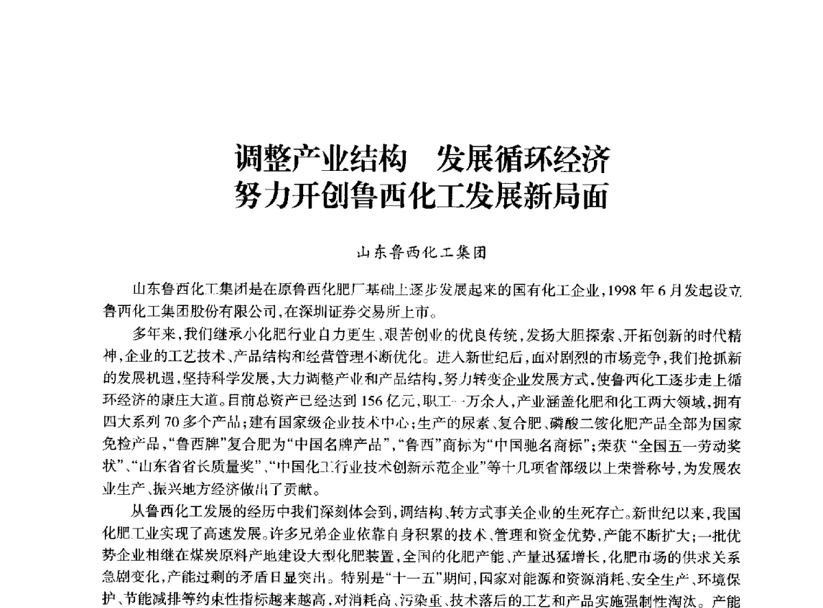 调整产业结构发展循环经济努力开创鲁西化工发展新局面 - 全国化工合成氨设计技术中心站2012年技术交流会