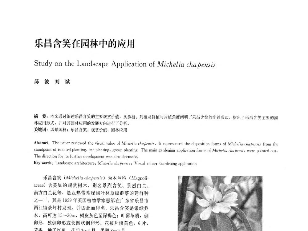 乐昌含笑在园林中的应用 - 中国风景园林学会2011年会