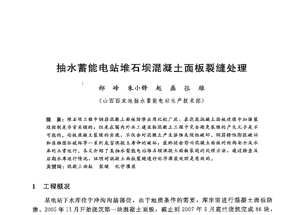 抽水蓄能电站堆石坝混凝土面板裂缝处理 - 第十二届全国水工混凝土建筑物修补加固技术交流会