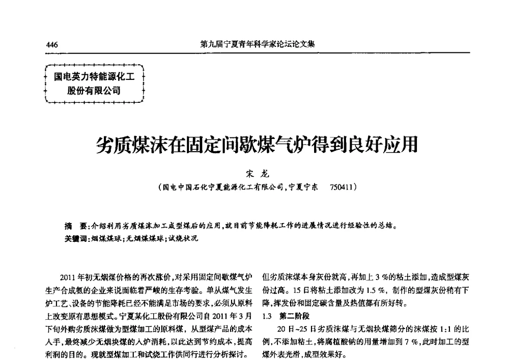 劣质煤沫在固定间歇煤气炉得到良好应用 - 第九届宁夏青年科学家论坛石化专题论坛