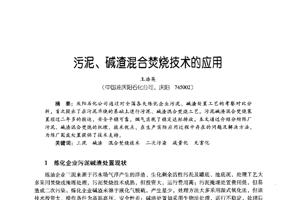 污泥、碱渣混合焚烧技术的应用 - 第四届炼油与石化工业技术进展交流会