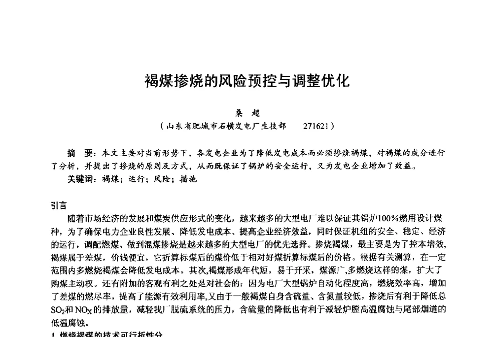 褐煤掺烧的风险预控与调整优化 - 第四届火电行业化学(环保)专业技术交流会