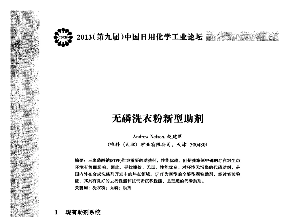 无磷洗衣粉新型助剂 - 2013(第九届)中国日用化学工业论坛