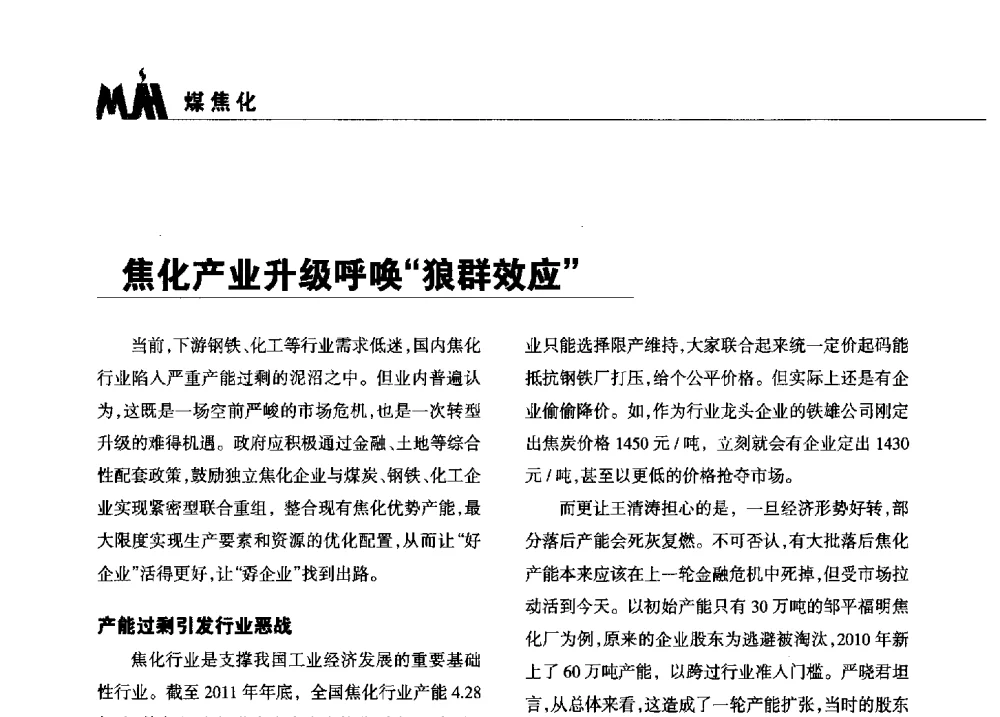 焦化产业升级呼唤狼群效应 - 2013年煤焦产业链市场供需研讨会暨全国半焦(兰炭)技术交流会