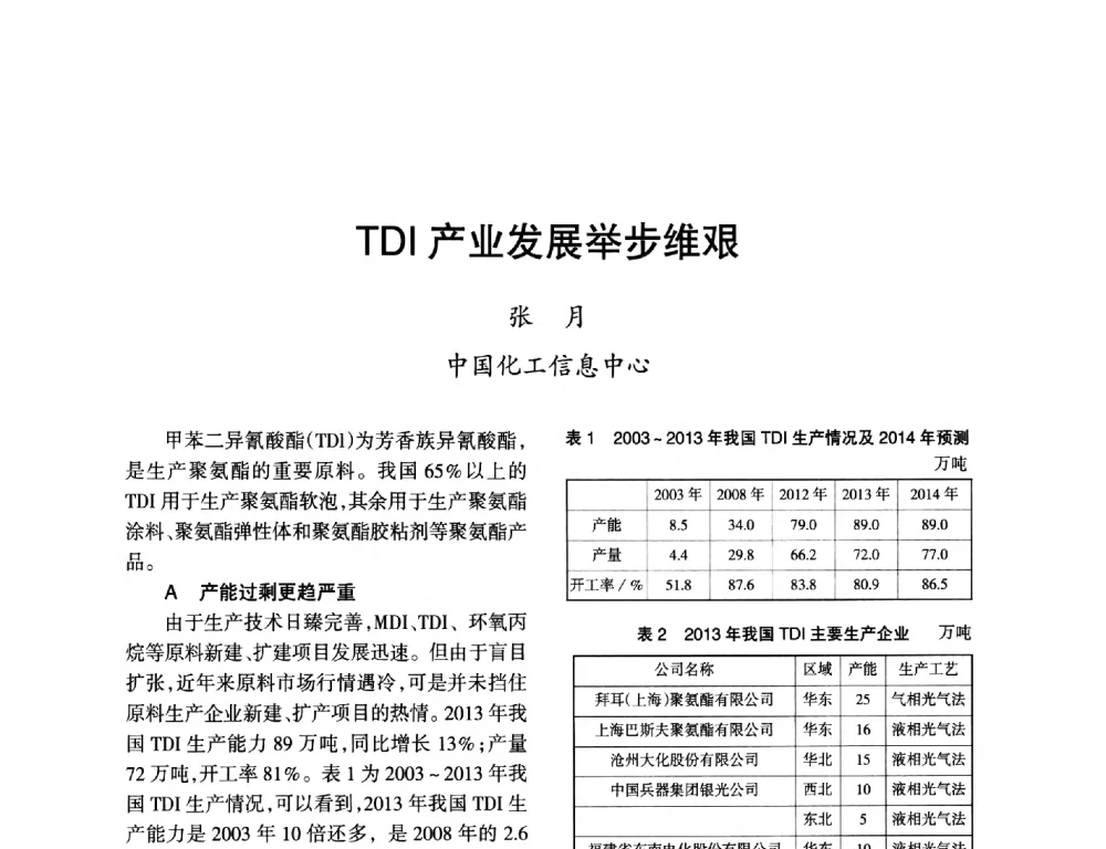 TDI产业发展举步维艰 - 第九届全国硝酸硝酸盐技术交流会