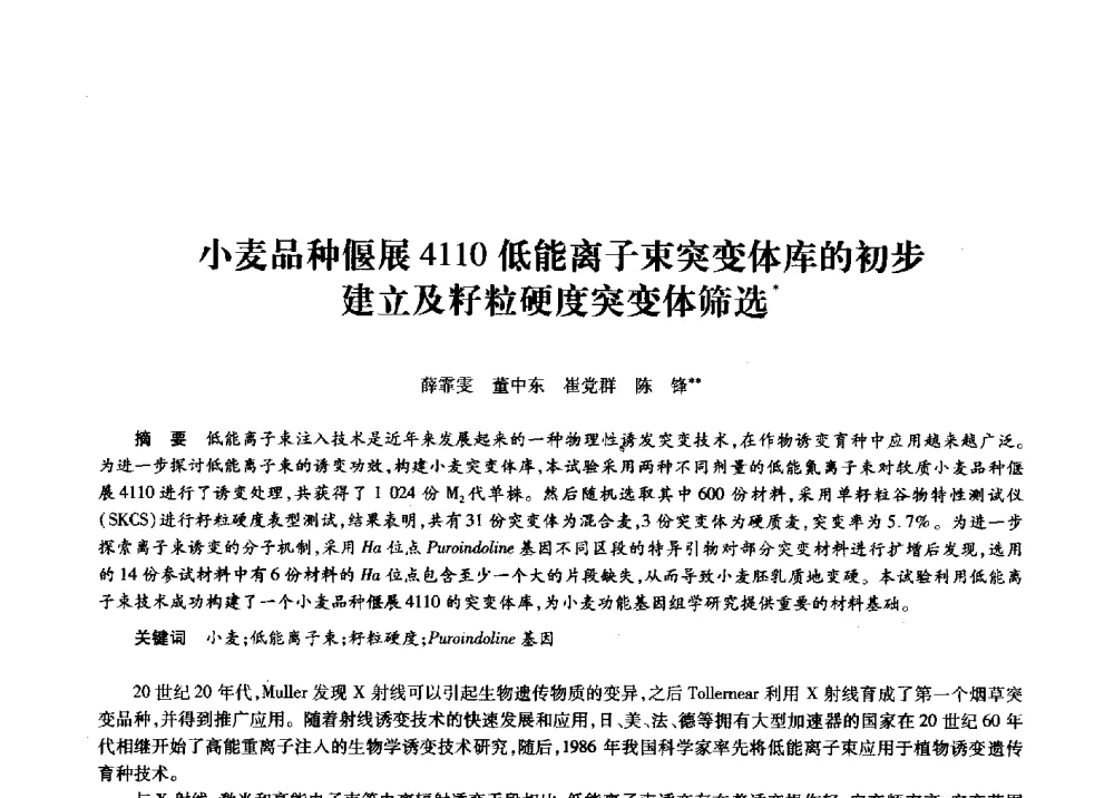 小麦品种偃展4110低能离子束突变体库的初步建立及籽粒硬度突变体筛选 - 第十一届中国核学会“核科技、核应用、核经济”(三核)论坛